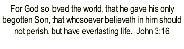 For God so loved the world, that he gave his only begotten Son, that whosoever believeth in him should not perish, but have everlasting life.  John 3:16